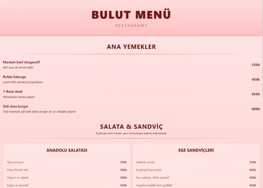 SEÇKİN tema önizlemesi