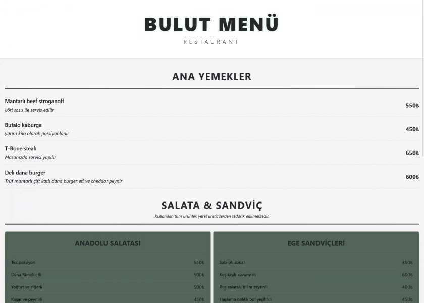 CEVİZ tema önizlemesi